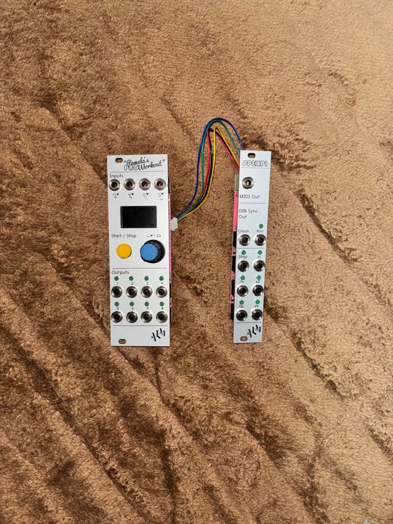 ALM Busy Pamela’s Pro Workout / EXP1 セット