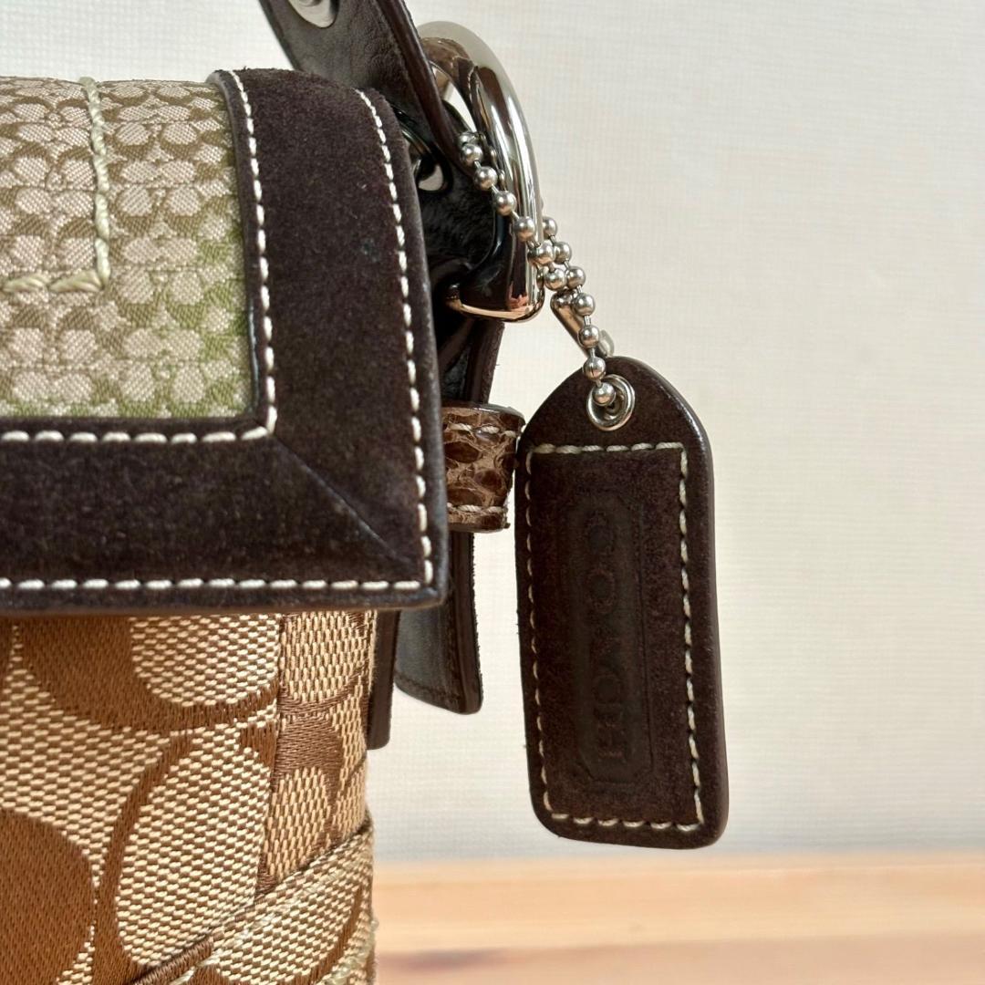 バッグ Coach Soho Suede Patchwork Python Bag