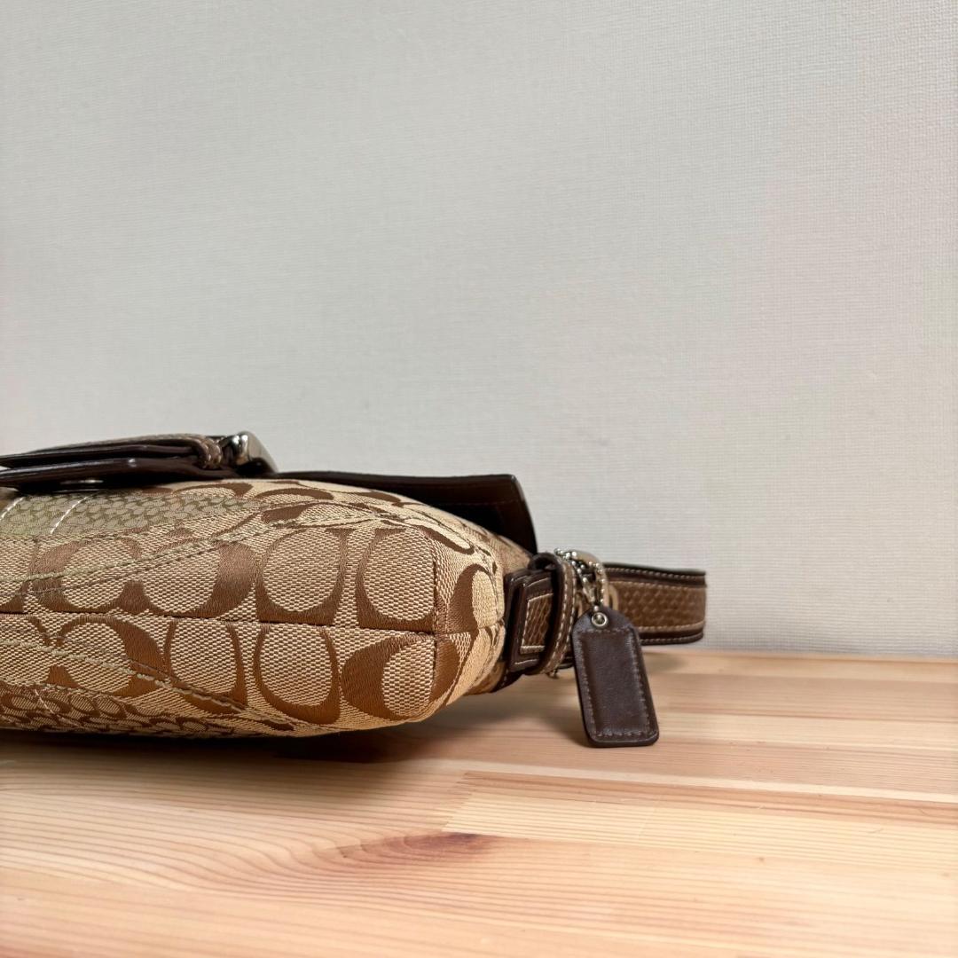 バッグ Coach Soho Suede Patchwork Python Bag