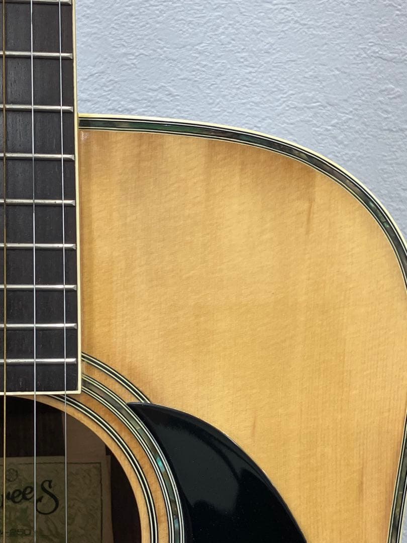 ThreeS W-250 アコースティックギター スズキ　SUZUKI ギター