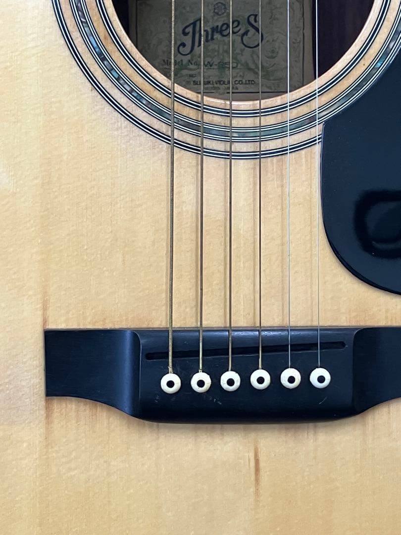 ThreeS W-250 アコースティックギター スズキ　SUZUKI ギター