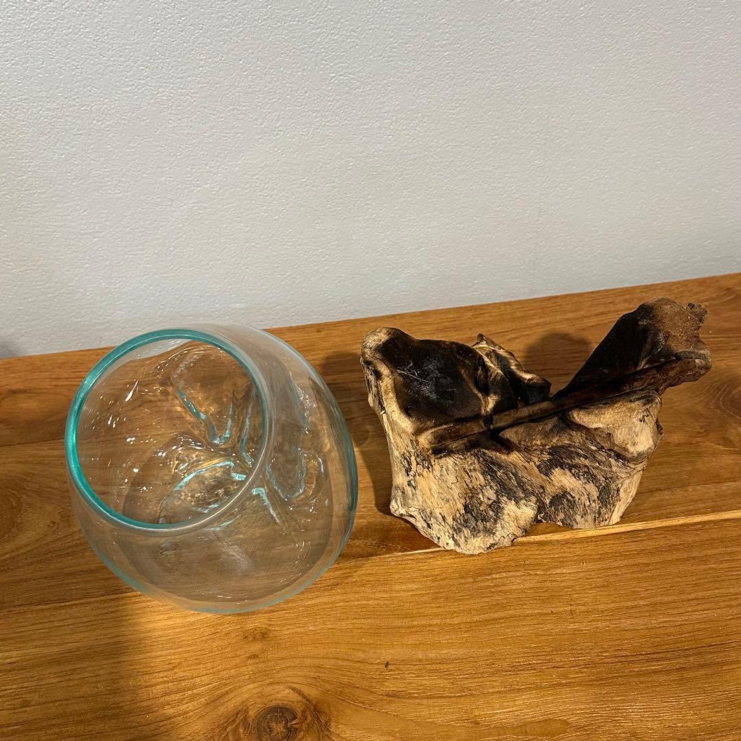 バリ島流木ガラス　w17×d14×h19cm 水槽　アクアリウムメダカ水槽801