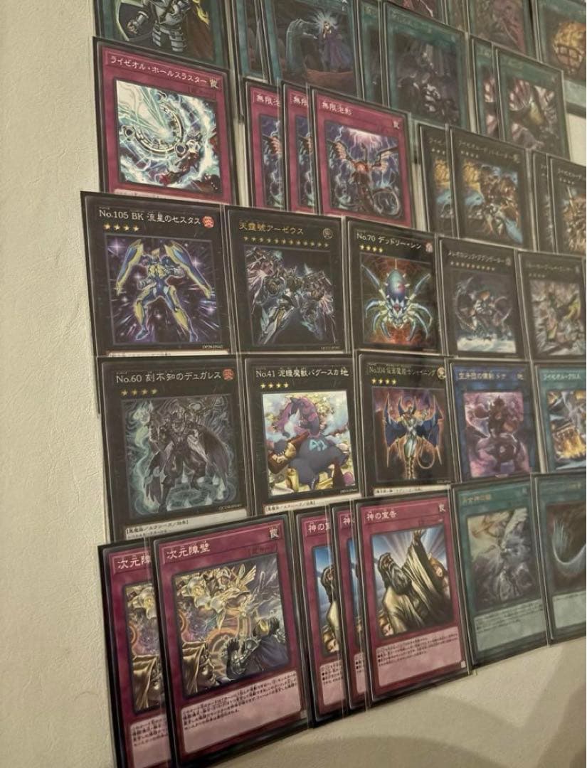 ライゼオル　大会構築デッキ　スリーブ2重　サイド付き