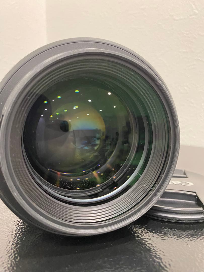 Canon RF 85mm F1.2L USM DS レンズ