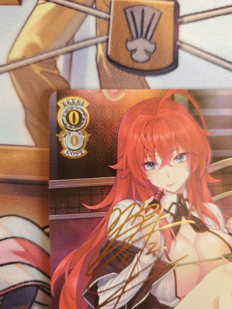 主従を越えた愛 リアス サイン SEC