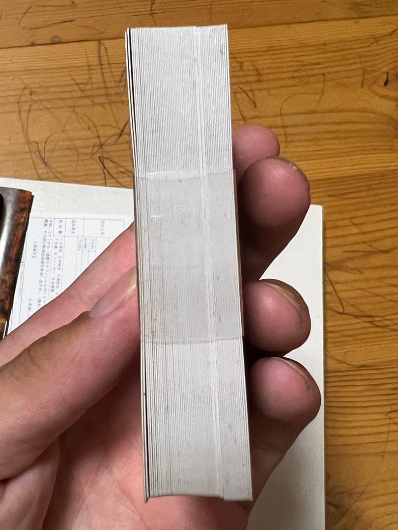 遊戯王 ストラクチャーデッキ 遊戯編 ブラックマジシャンガール