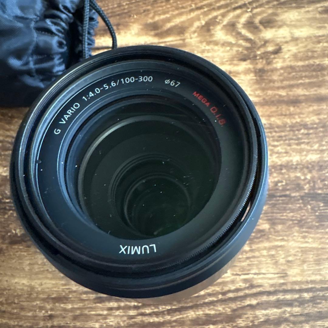 Panasonic H-FS100300 100-300mm ズームレンズ