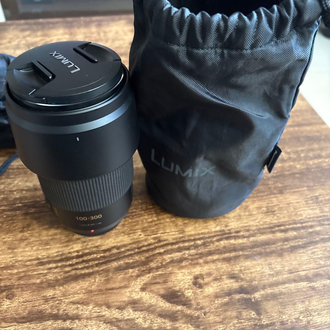 Panasonic H-FS100300 100-300mm ズームレンズ