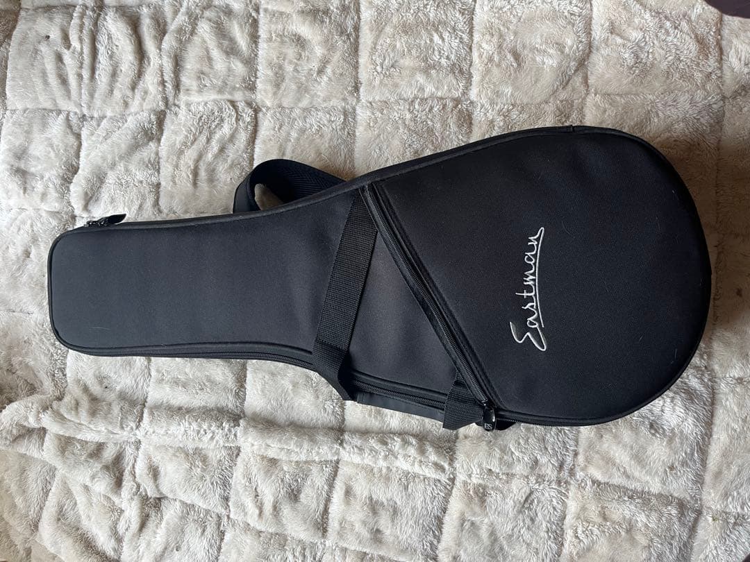 た*ん様 Eastman MD314 イーストマン フラットマンドリン