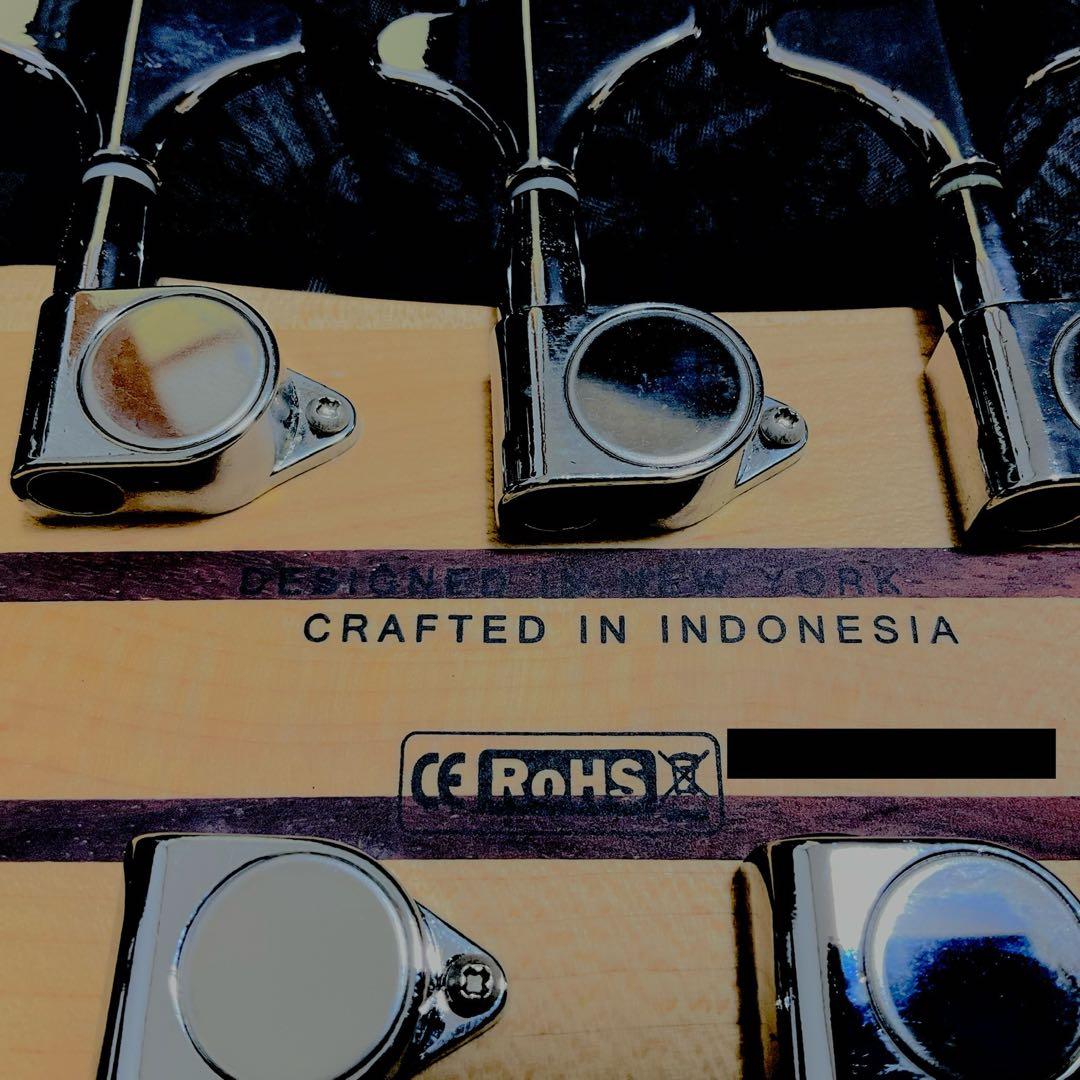 【送料込】Spector 5弦ベース「特別仕様」