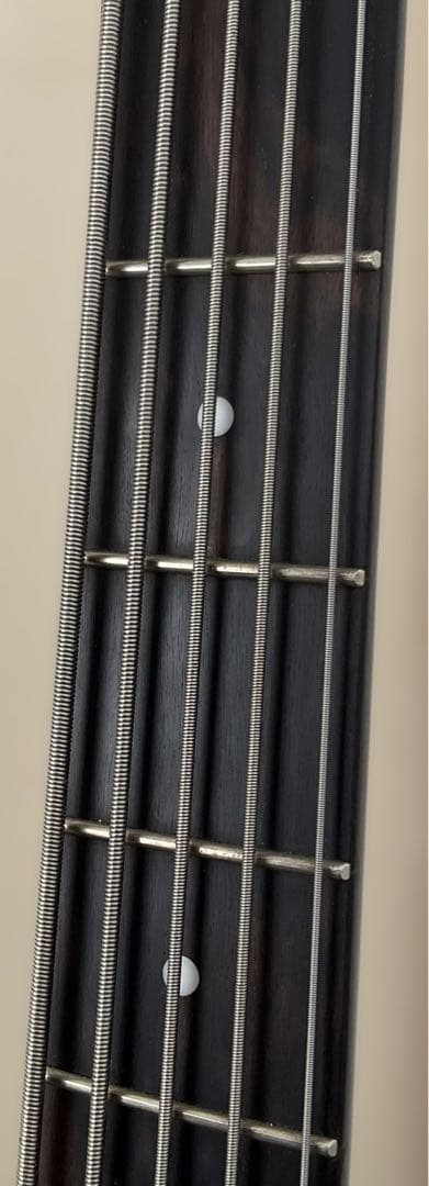 【送料込】Spector 5弦ベース「特別仕様」