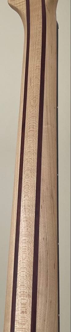 【送料込】Spector 5弦ベース「特別仕様」