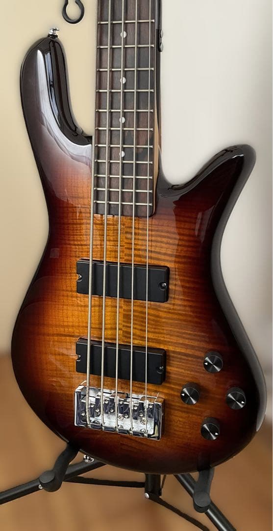 【送料込】Spector 5弦ベース「特別仕様」