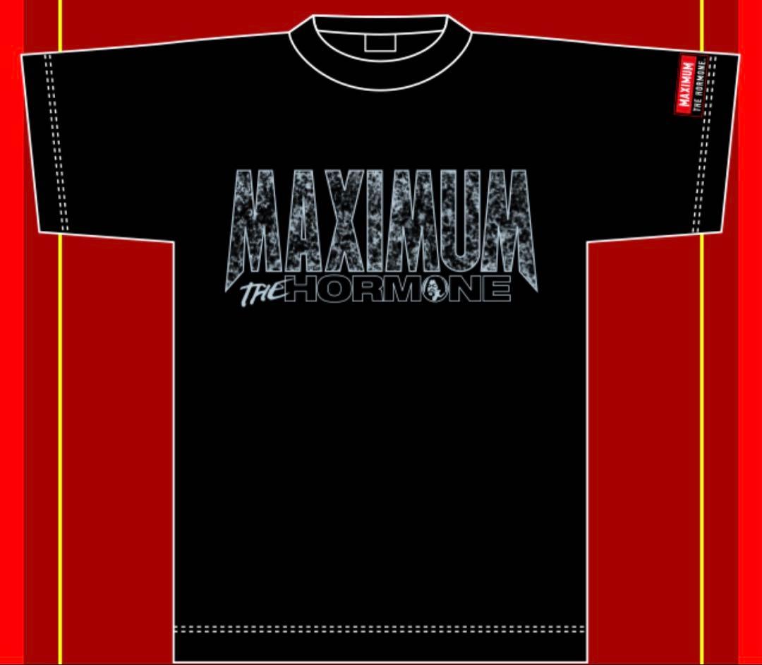 マキシマムザホルモン　メンカタコテリズン　生還者　TシャツLサイズ&PLOOF