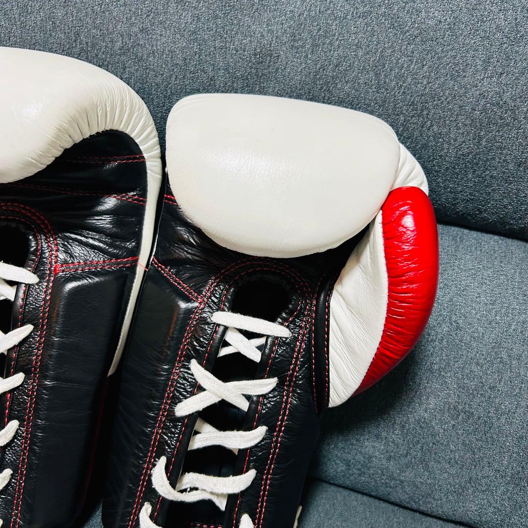 RISE ボクシンググローブ 10oz (美品)