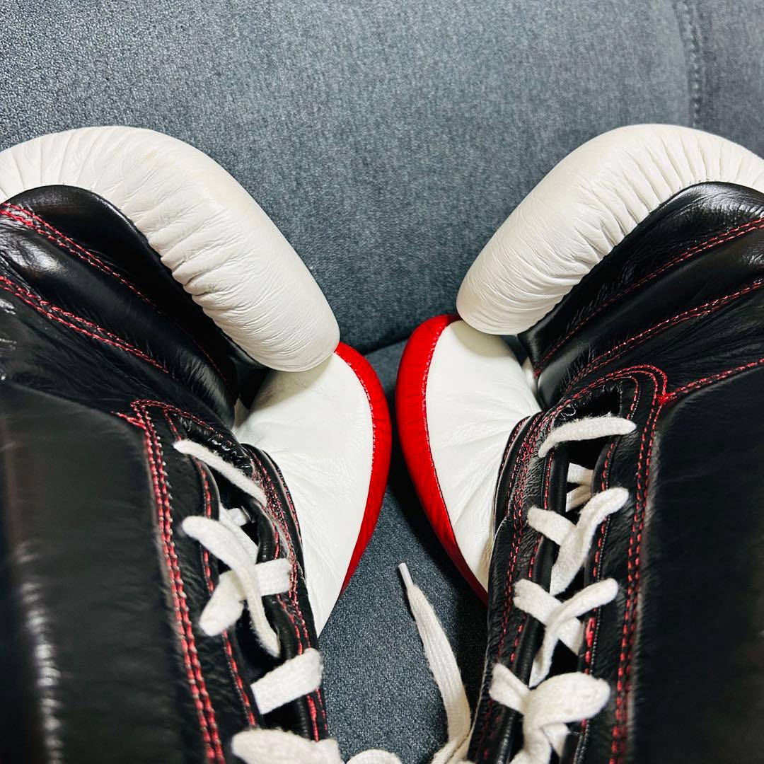 RISE ボクシンググローブ 10oz (美品)