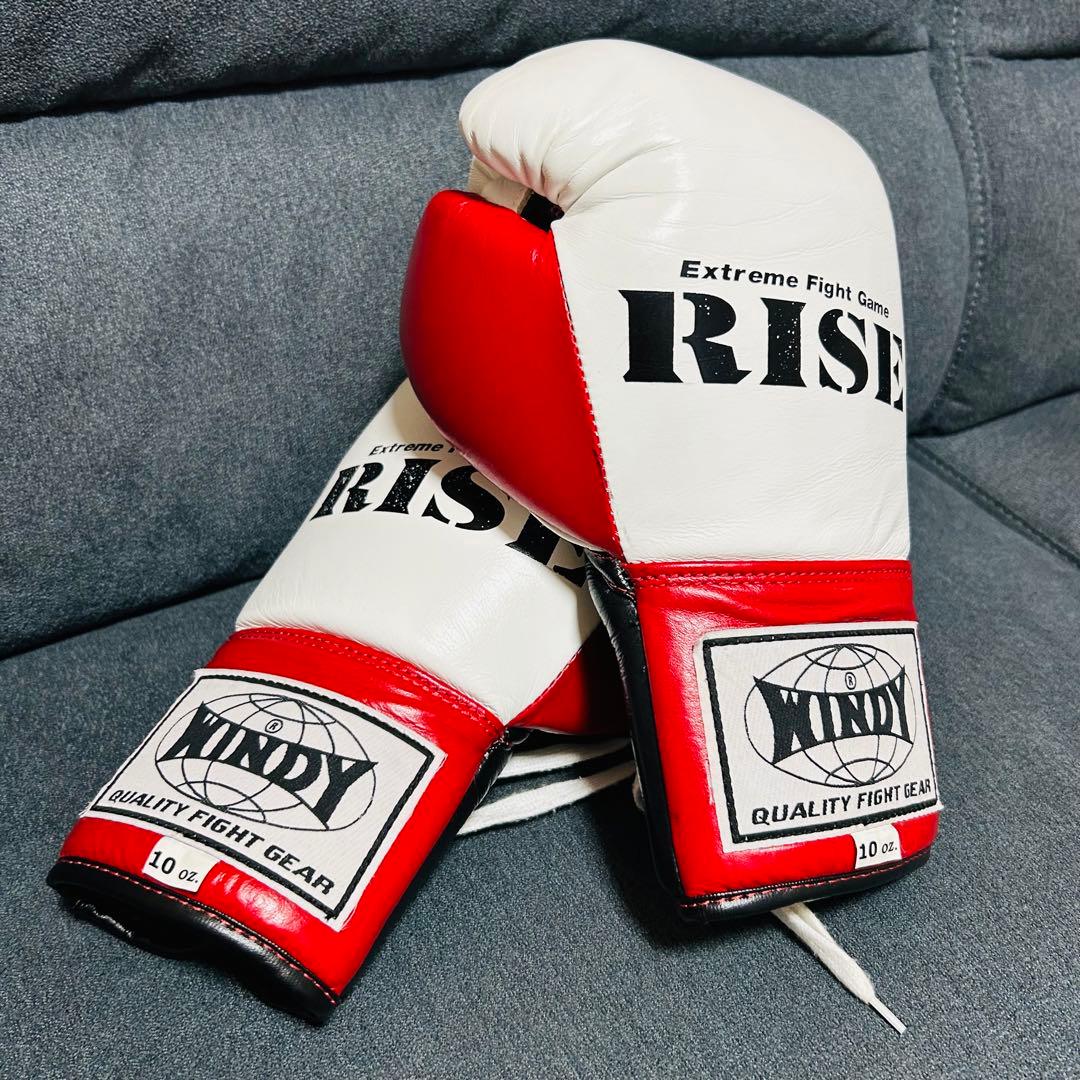 RISE ボクシンググローブ 10oz (美品)