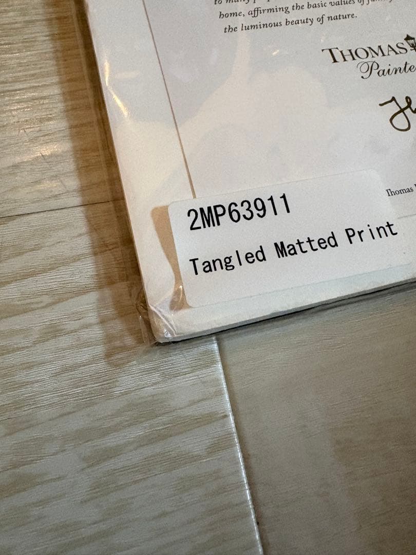 トーマス・キンケード ラプンツェル アートプリント