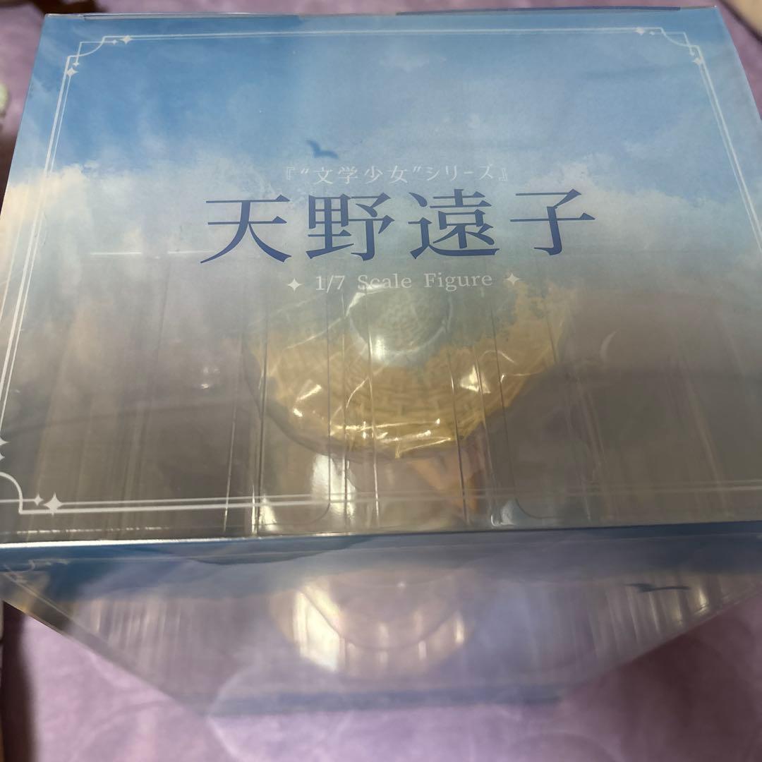 anigift 文学少女　天野遠子 1/7スケールフィギュア　12/16まで