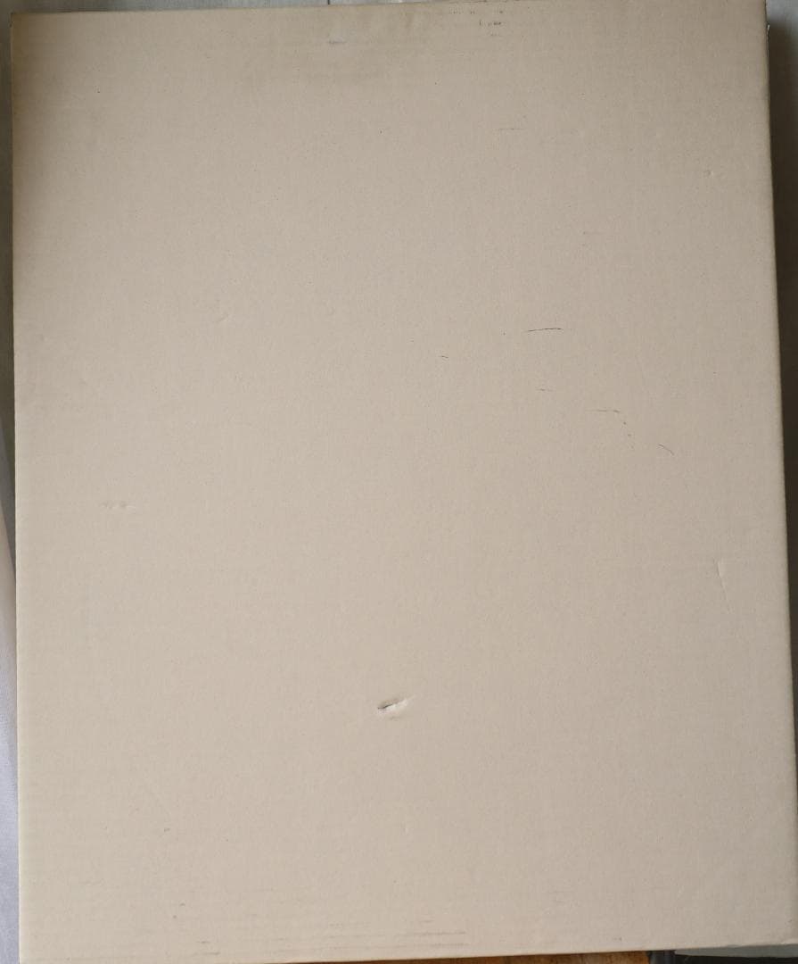 舞妓　美人画　日展作家作品　油絵　P8　直筆1点物　額縁付　京都祇園甲部　芸妓