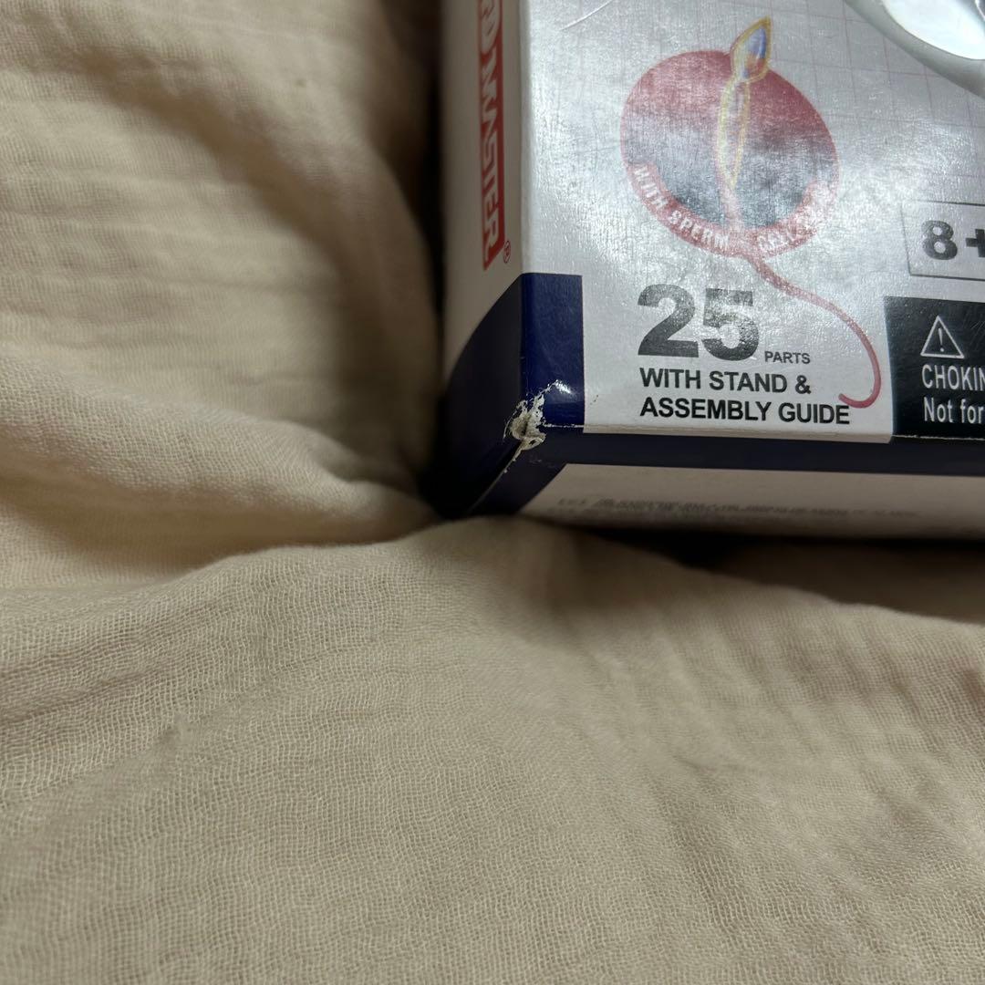 4D HUMAN ANATOMY 人体模型/成人/婦人科/泌尿器科　新品