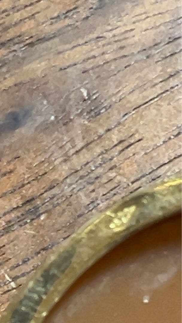 花模様カメオ ブローチ（ペンダントトップにもなります）