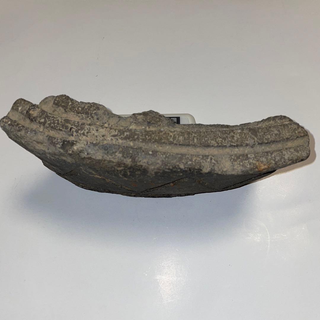 古瓦　多賀城　軒平瓦