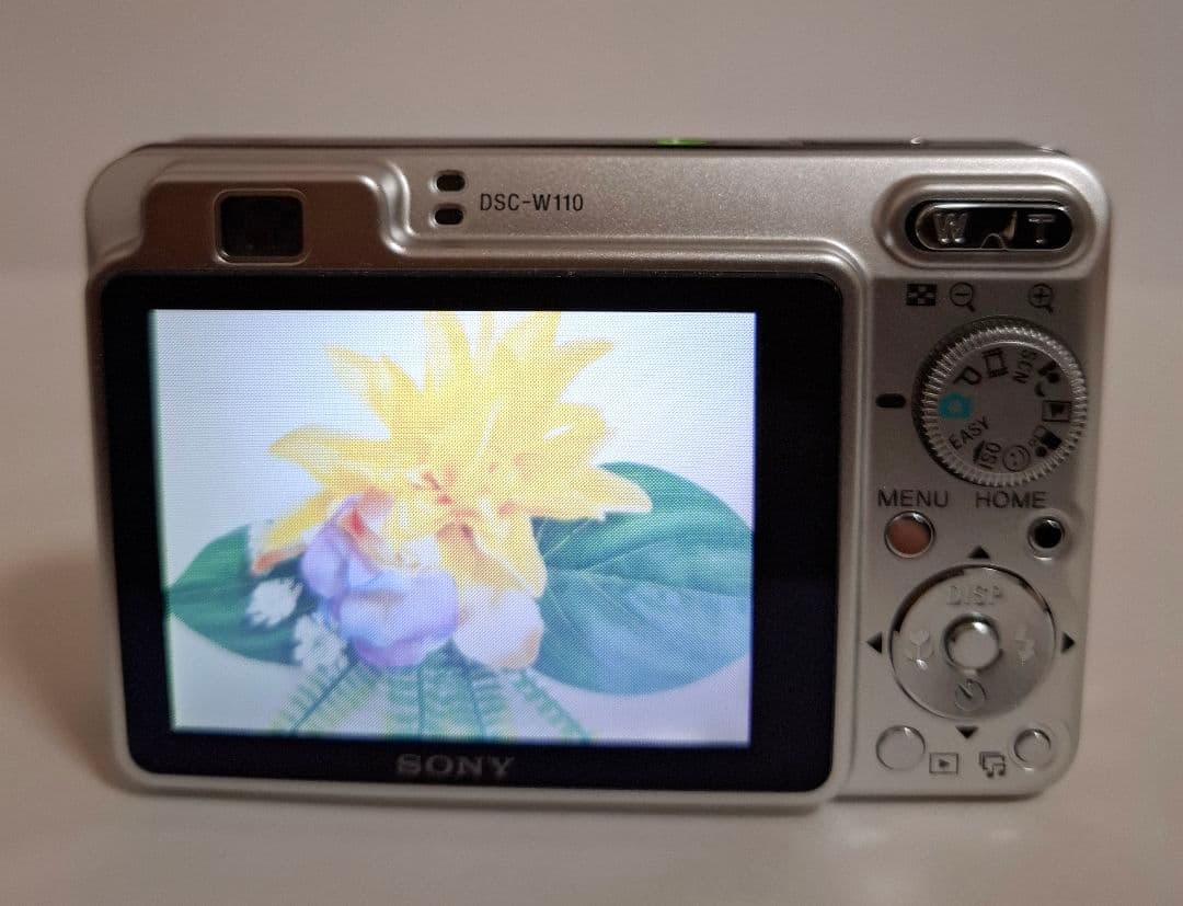 [美品]ソニー SONY Cyber-Shot DSC-W110 コンデジ