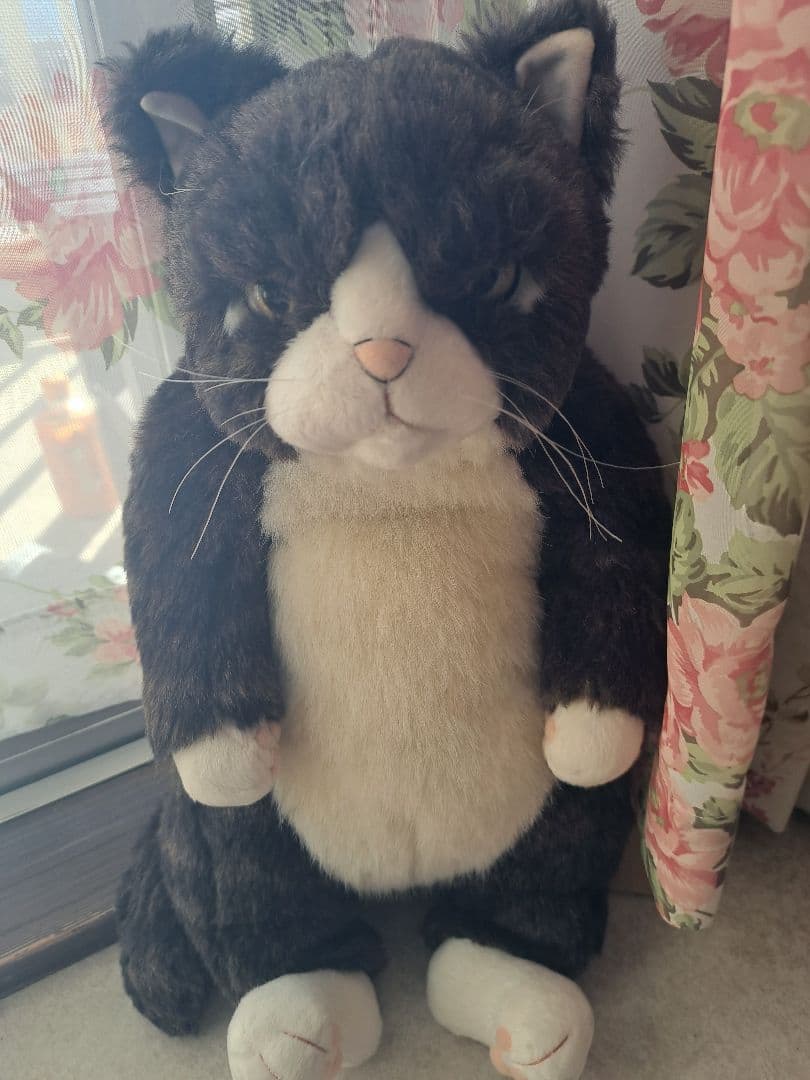 カドリー　猫　金之助