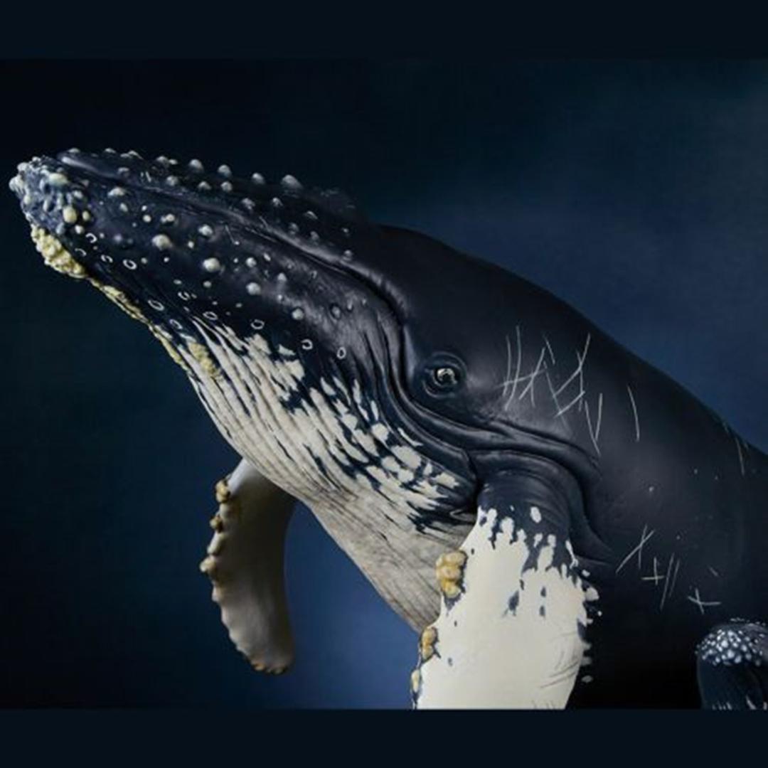 【海洋堂】NATURE TALES ザトウクジラ親子☆松村しのぶ