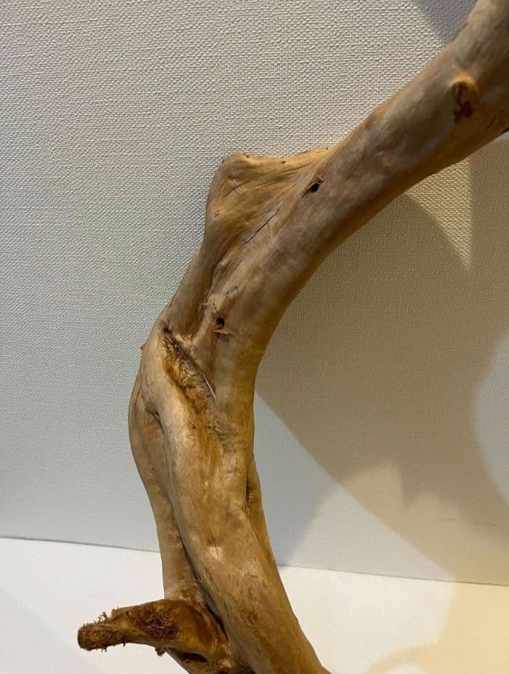 流木　止まり木　約82センチ