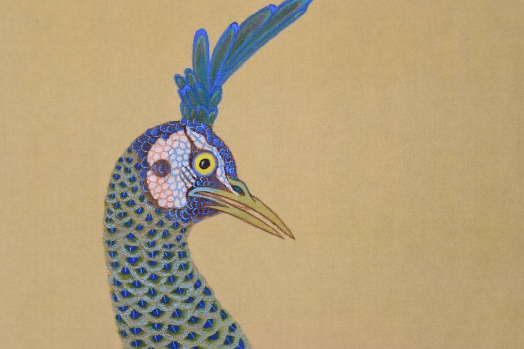 【真作】中井玉鳳/孔雀図/牡丹に孔雀/掛軸/名家伝来/AA-884