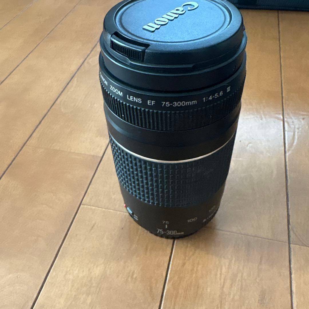 フイルム 一眼レフカメラ Canon EOS kiss3 レンズ 標準 望遠 付