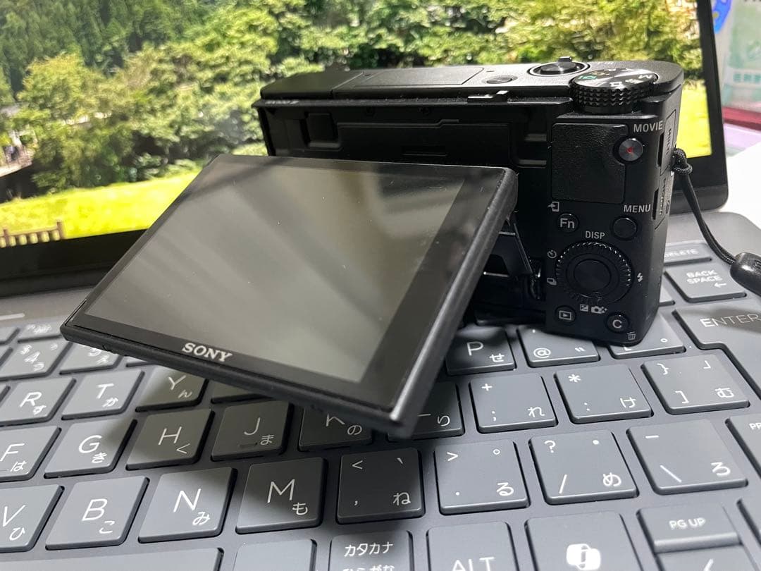 SONY DSC-WX350 コンパクトデジタルカメラ