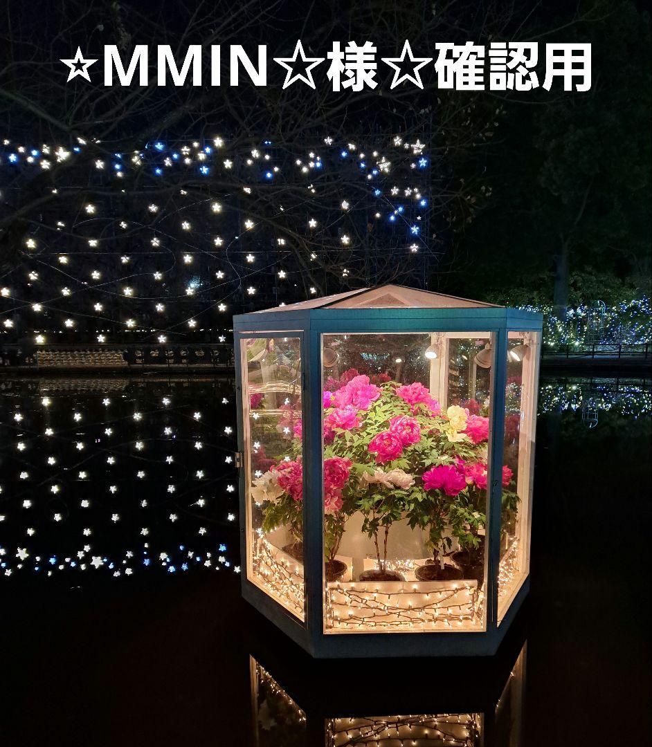 ⭐︎MMIN☆様☆確認用