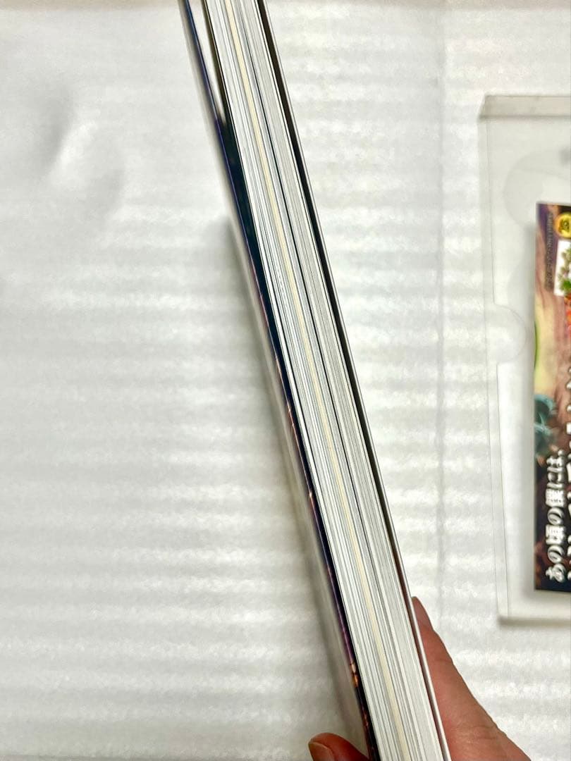 Pokémon Card Game Art Collection【特典カード無】