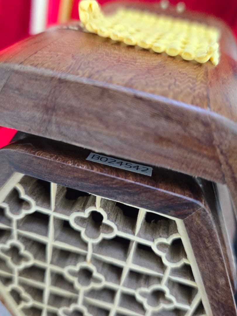 二胡 　希少　十三堂楽器 白紫檀 二胡 601 ケース、 補助教材付き 　良品