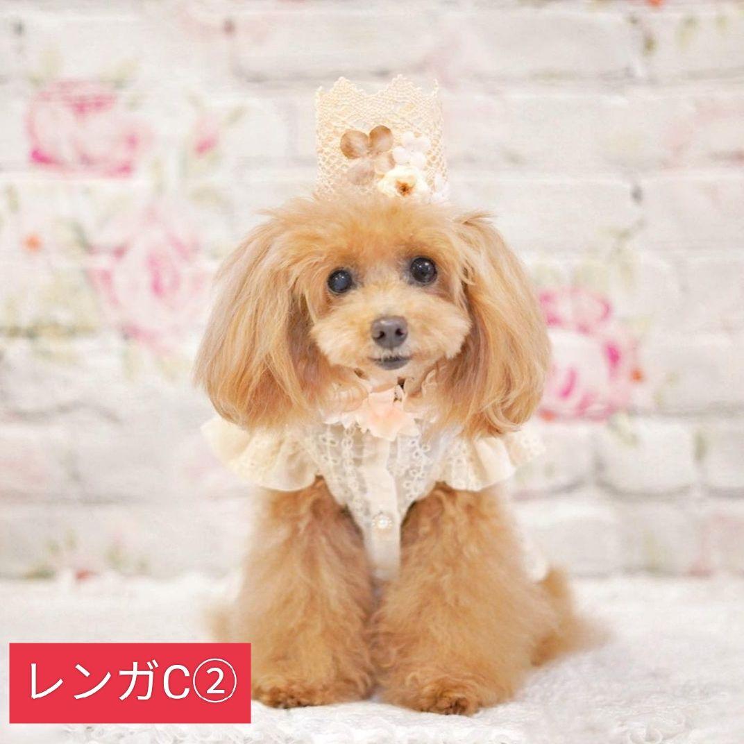 背景布　【　春D　】　サンプル　ニューボーンフォトなどに♪