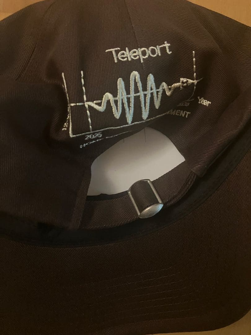  economics Experiments 刺繍 ベースボールキャップ