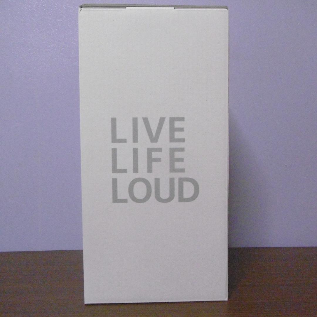 【未開封新品】SONY ワイヤレススピーカー SRS-XE300/H