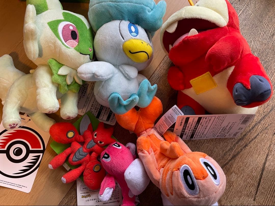 ポケモンセンターピカピカBOXタグ付き　ポケモン　匿名発送　ホゲータ　クリスマス