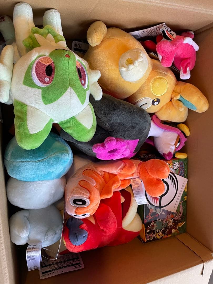 ポケモンセンターピカピカBOXタグ付き　ポケモン　匿名発送　ホゲータ　クリスマス