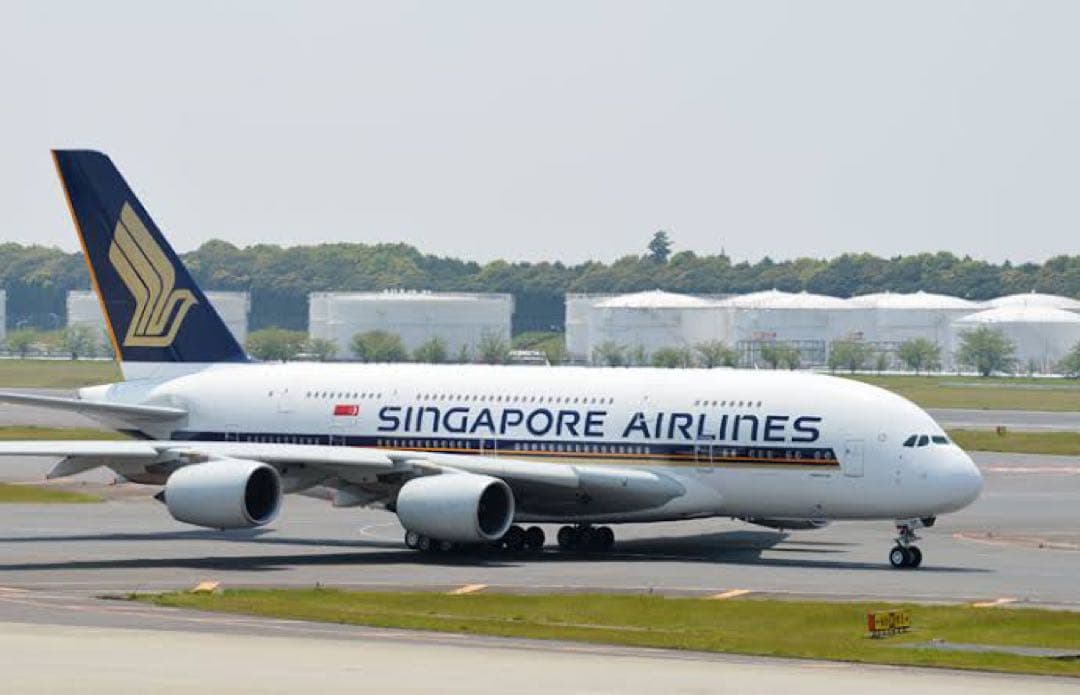 ももんじゃさん専用 モンブランスターウォーカー エアバスA380ファインライナー