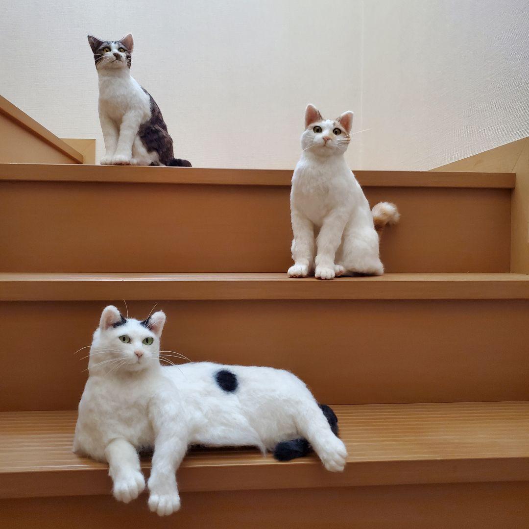 羊毛フェルト猫　 白トビキジ