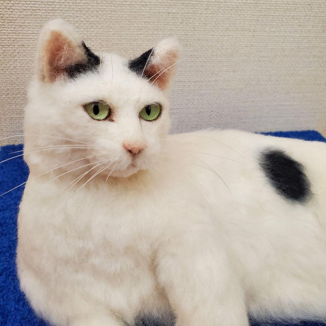 羊毛フェルト猫　 白トビキジ