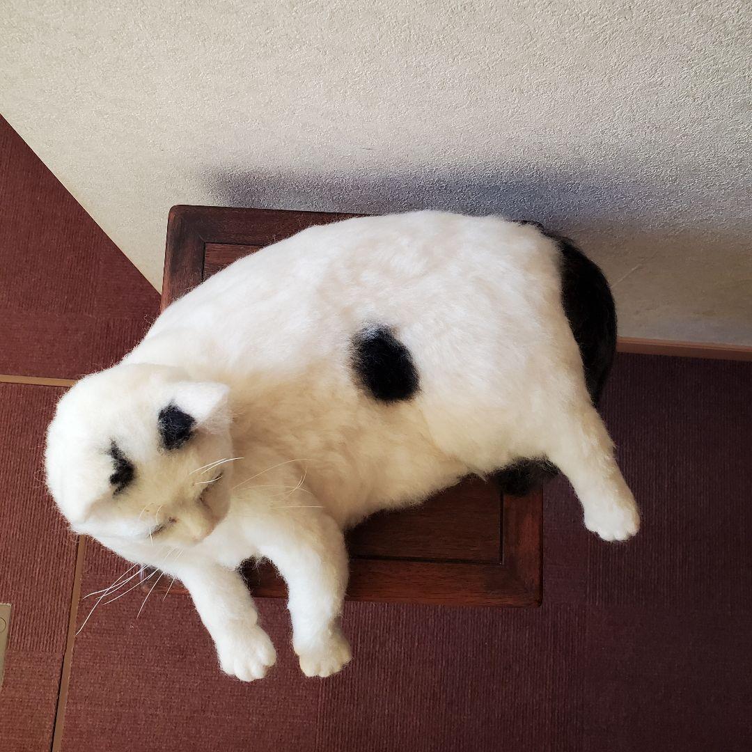 羊毛フェルト猫　 白トビキジ