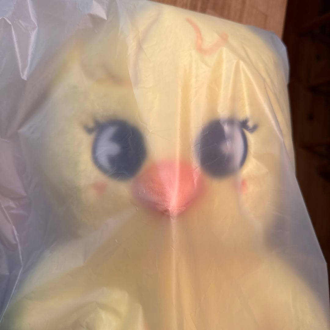 straykids スキズ　テディベア ぬいぐるみ SKZOO ポガリ　ピリ