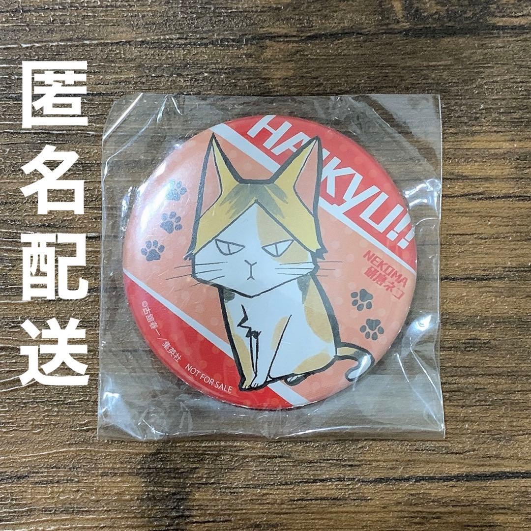 ハイキュー 孤爪研磨 研磨ネコ 缶バッジ 激レア動物Ver. 懸賞 当選