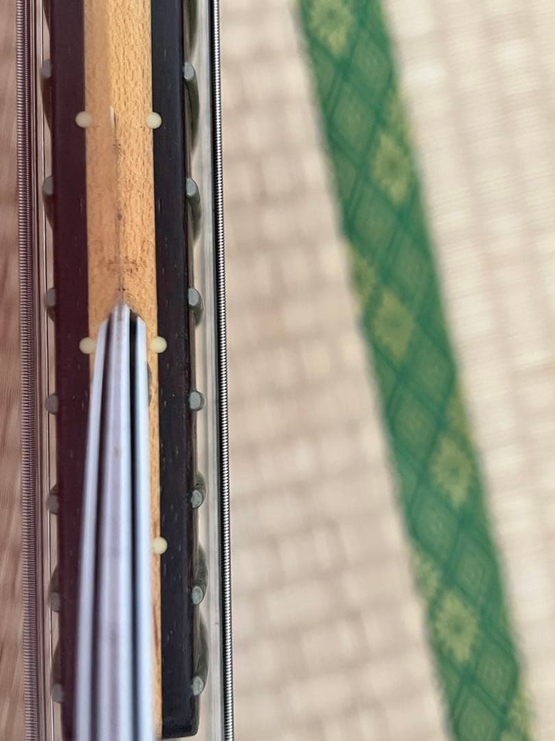 CoolZ テレキャスター ZTL-M2R RED