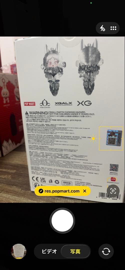 【正規品】　SKULLPANDA スカルパンダ XG 日本限定　POPMART